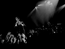 Nick Cave 
