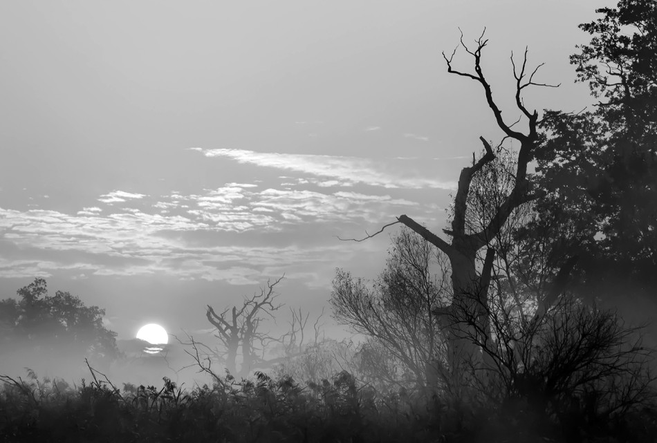 Spokój poranka. . Zdjęcie 339904