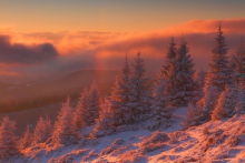 Color of the Morning Sun