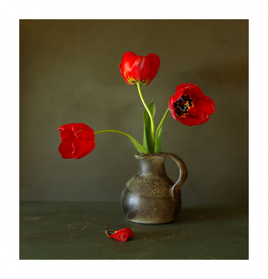 marcel - Tulipany trzy. . Zdjęcie 242900