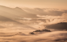 Złote Pieniny. 