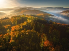 Autumn Deluxe...