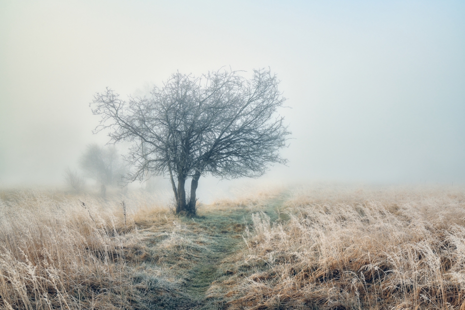 shooter76 - . . Zdjęcie 301050