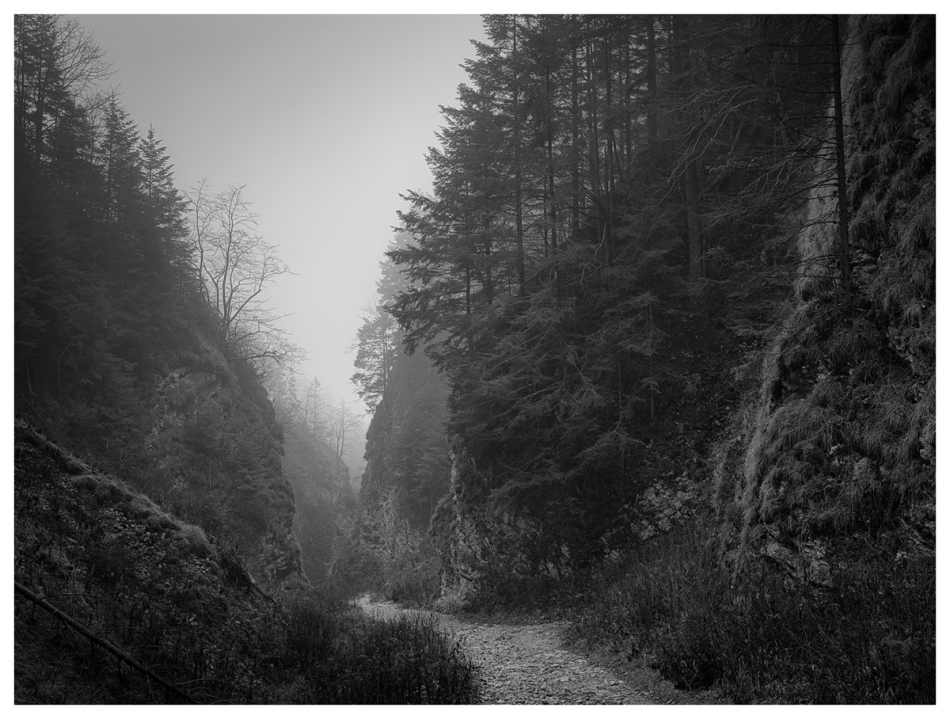 backslash - . . Zdjęcie 328982