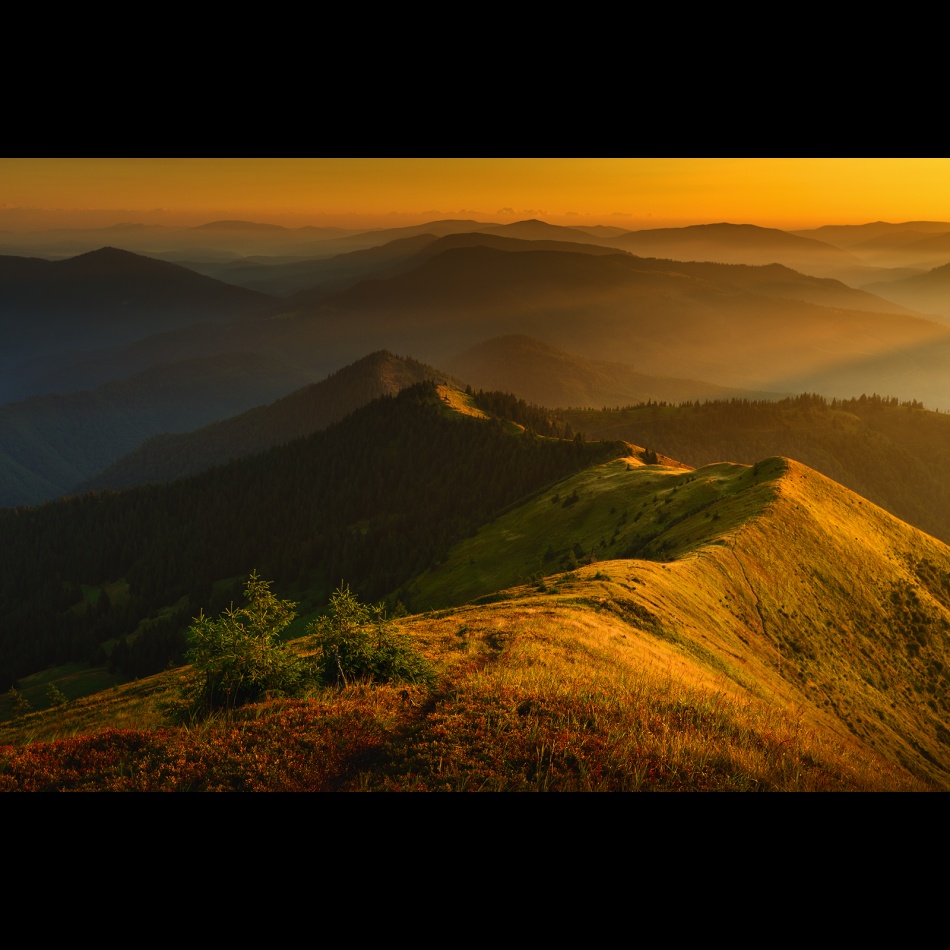 Gorgańskie świtanie. . Zdjęcie 337072