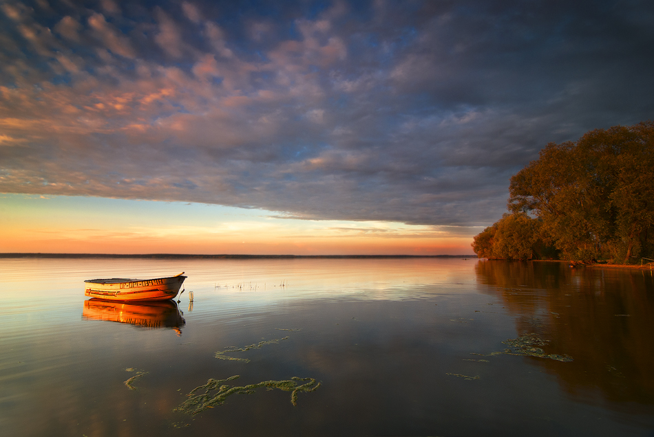 siwypz - Turawa. . Zdjęcie 98457