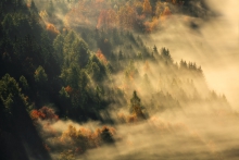 Autumn Whispers in the ...