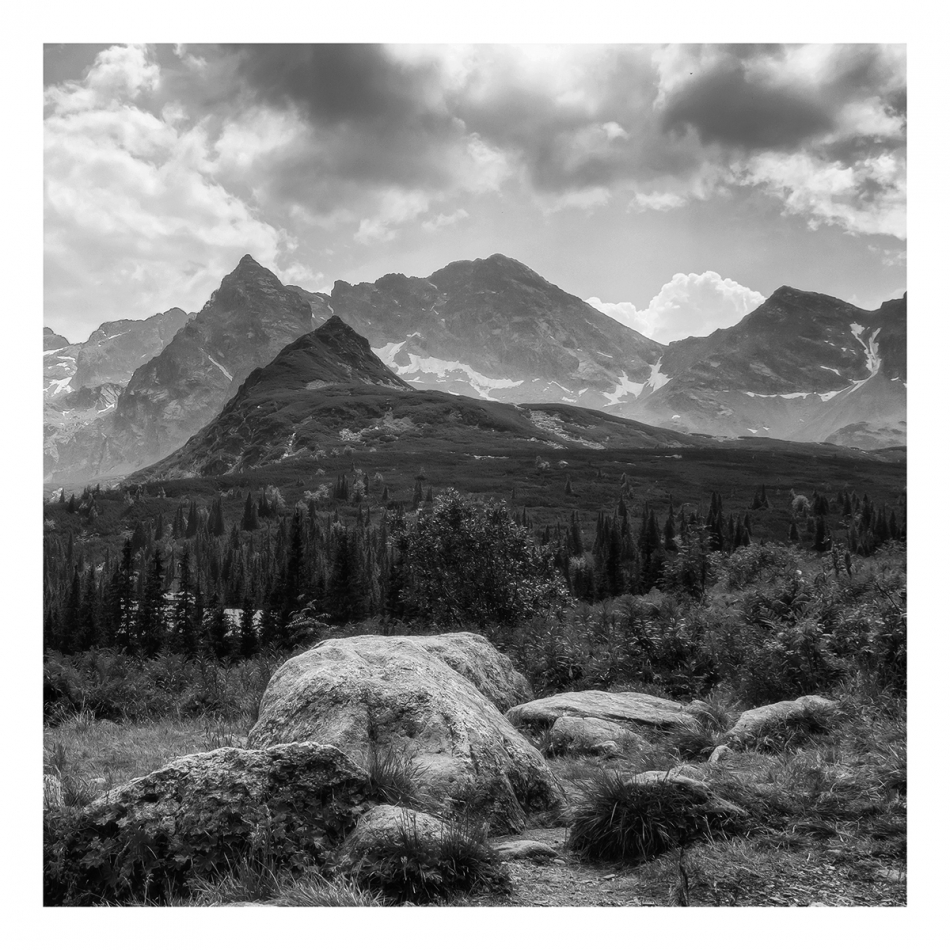 robert_cz - /\/\/\. . Zdjęcie 273842