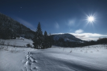 Footprints In The Snow....