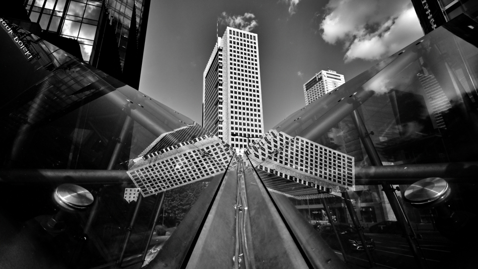 greenhorn - ..     . Zdjęcie 336678