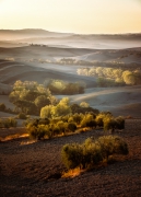 Tuscany