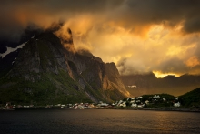 Reine