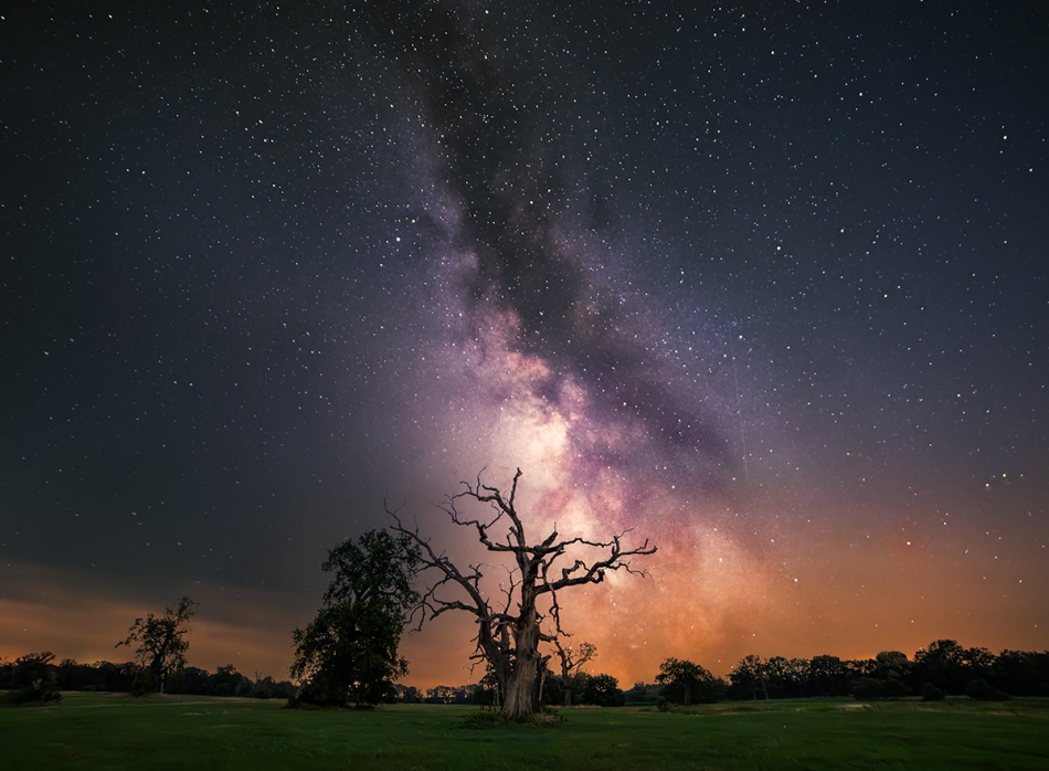 ferb72_ - Rogalin . Pierwsze próby z prowadzeniem...mimo dużego zanieczyszczenia światłem pierwsze ciemne noce tego lata zaliczone ;) Nikon Z6II + Samyang14mm, 4razy 80sek. iso 640, f4....łączone w Deep Sky Stacker...obróbka PS i StarNet++..... Zdjęcie 3168