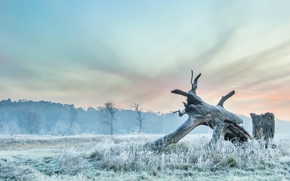 Przemijanie. . Zdjęcie 338818