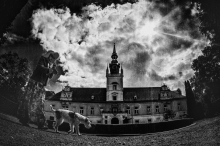 Lady & Dog