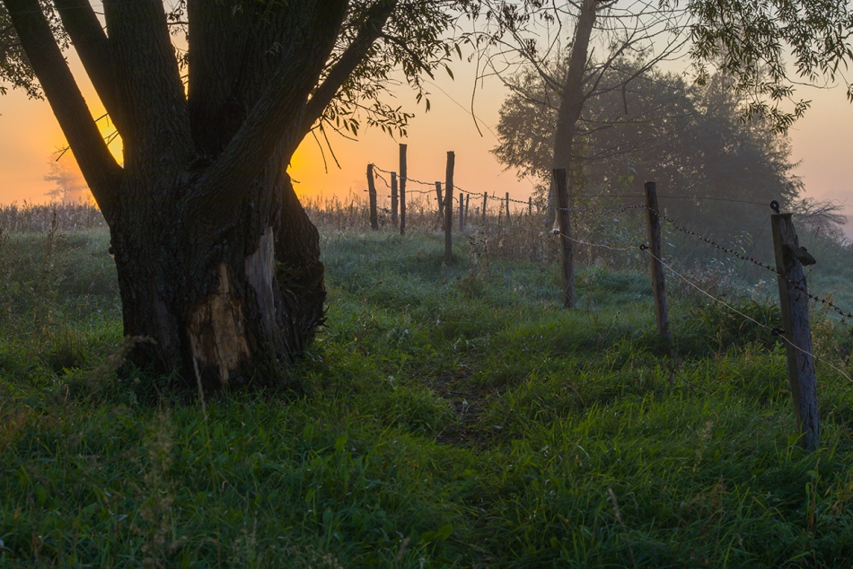 . . Zdjęcie 312380