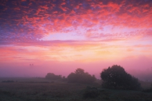 Tyniec sky II