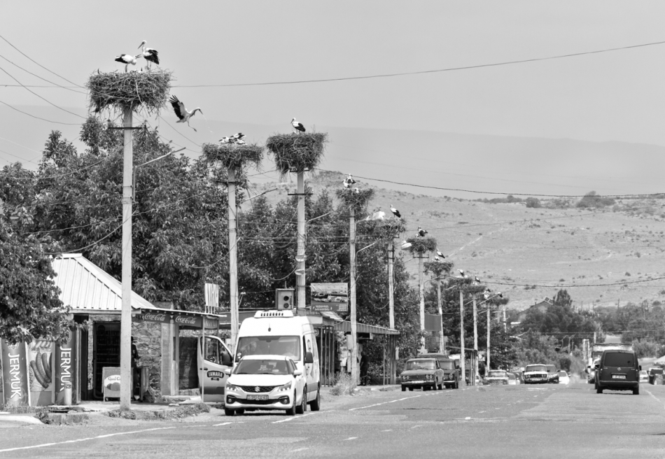 Armenia. . Zdjęcie 333324