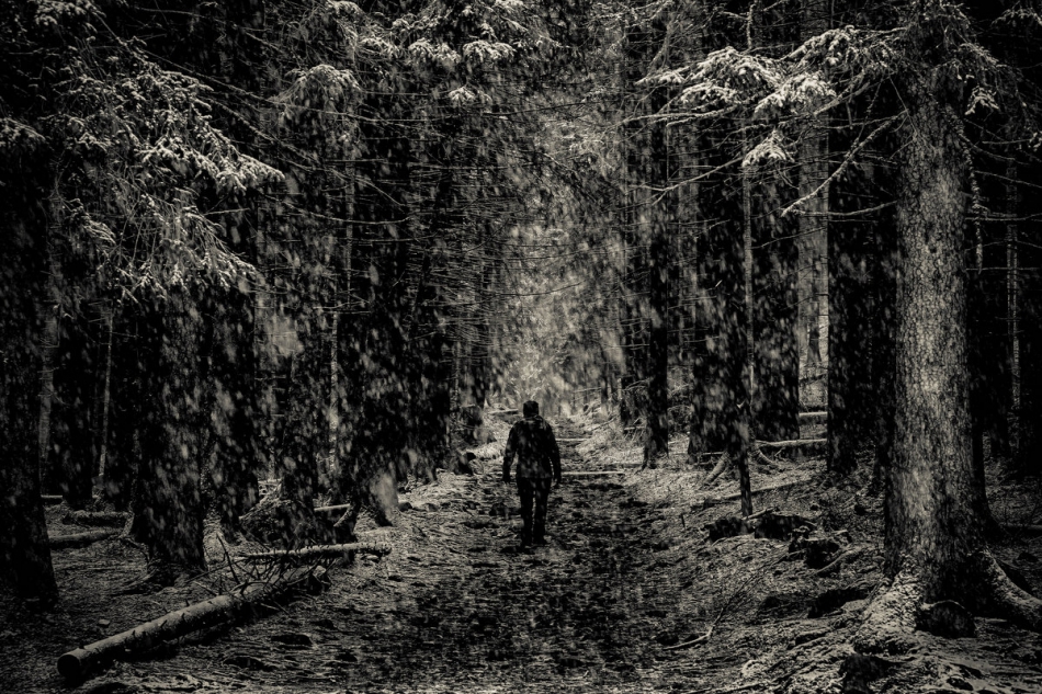 pak76 - . W Dolinie Koscieliskiej. Zdjęcie 260373