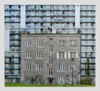 współegzystencja
