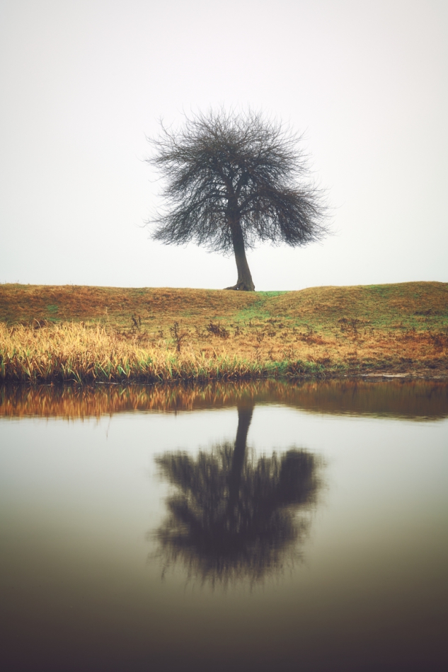 shooter76 - . . Zdjęcie 295783