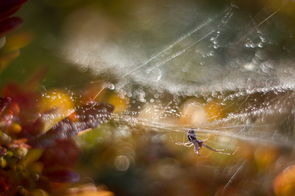 agnez - Skradam się.... Zapraszam na PE. Zdjęcie 154631