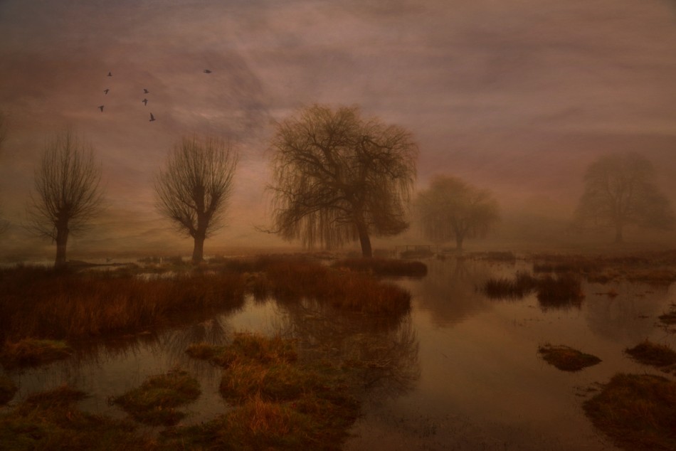 Some Mornings.... . Zdjęcie 338766