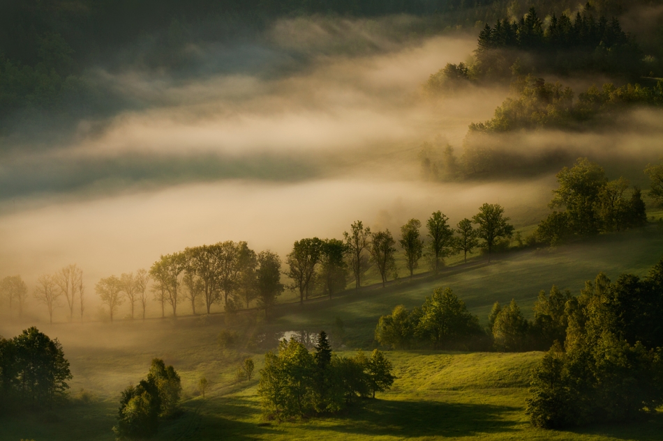 The Fiery Glows of Amber. . Zdjęcie 109931