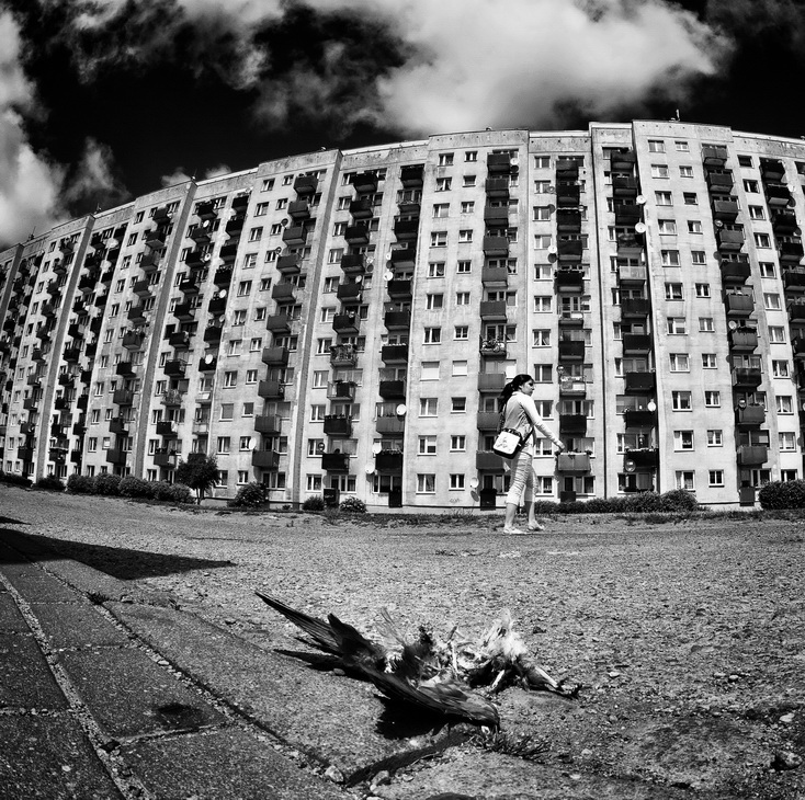 marhaba - . . Zdjęcie 144908