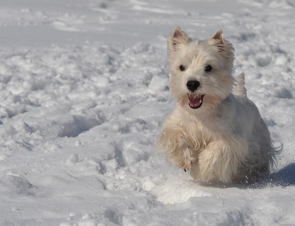 atabecia - pełnia szczęścia. . Zdjęcie 87598