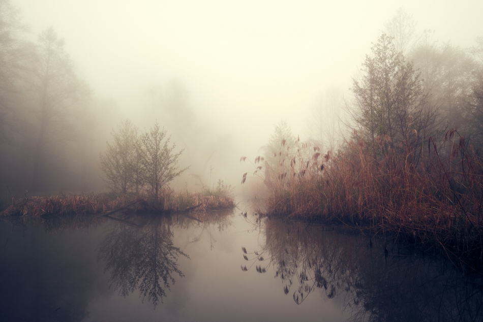 shooter76 - . . Zdjęcie 269258