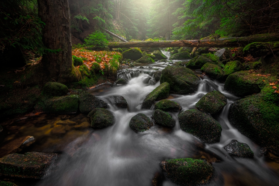 +. . Zdjęcie 336834