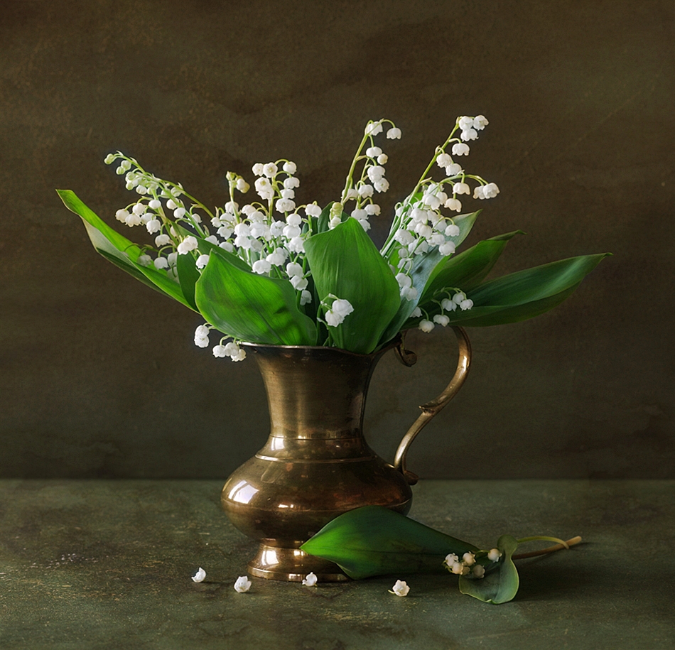 marcel - . . Zdjęcie 244376