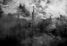 Wypał węgla drzewnego 