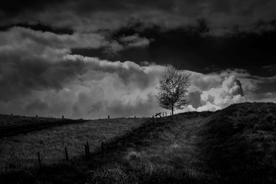 kajar - *. . Zdjęcie 336495