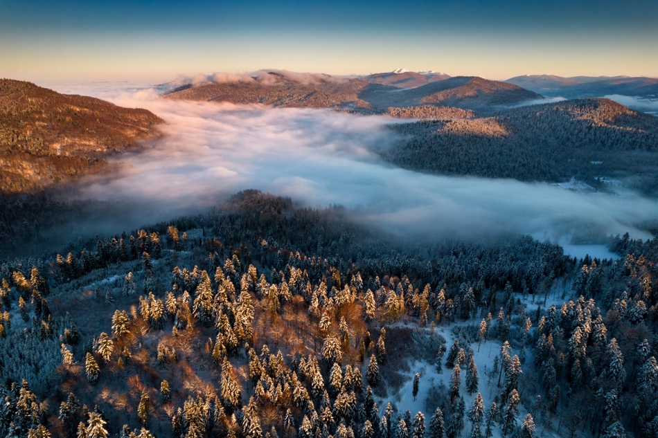 szymon_59 - . . Zdjęcie 320591