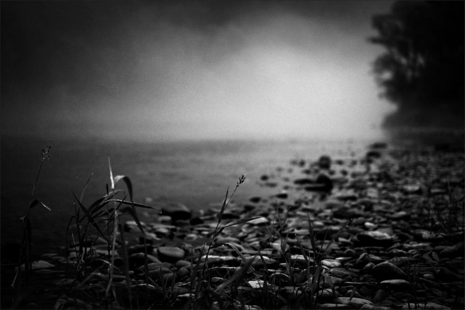 Tales From The San Valley. . Zdjęcie 335962