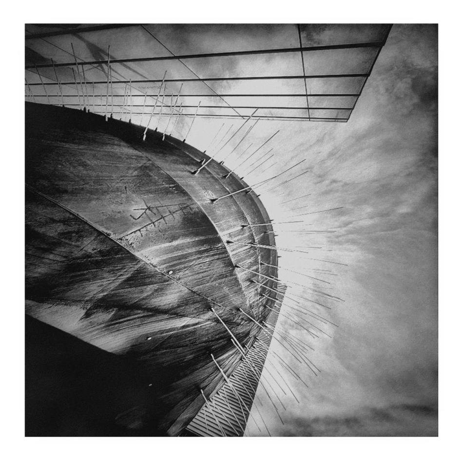 Jeż . . Zdjęcie 337188