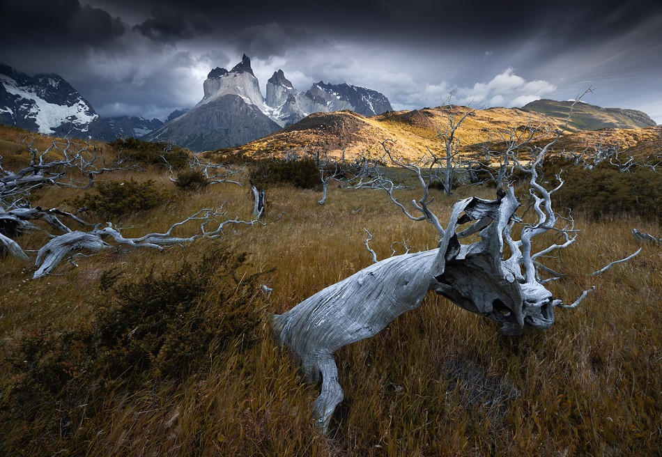 Torres del Paine. Patagonia, styczeń 2026. Zdjęcie 340099