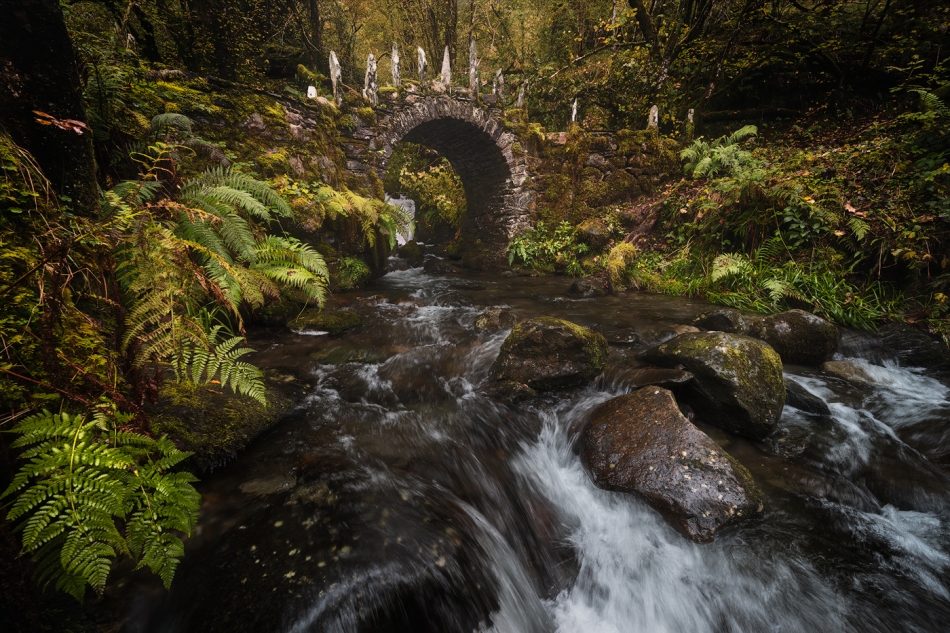 quaker - Old Bridge. . Zdjęcie 336576
