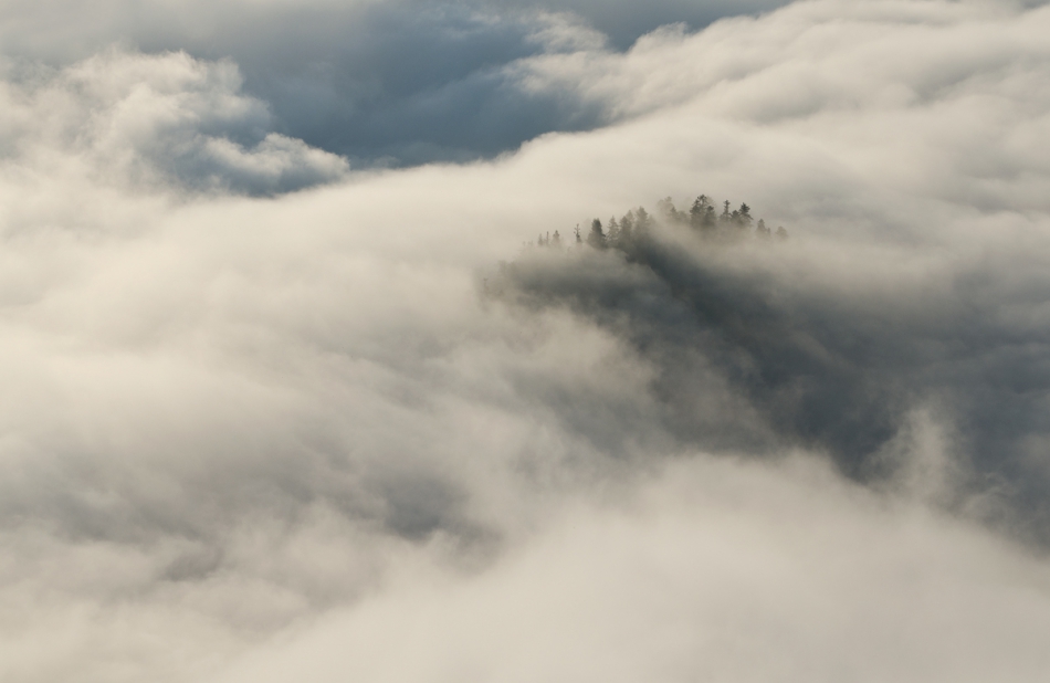 master95 - Heaven. PE :). Zdjęcie 194252