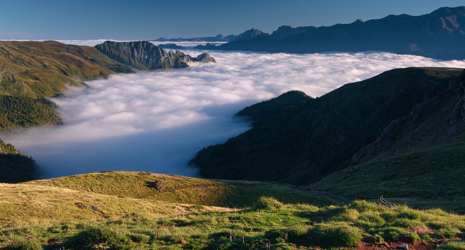 /\. . Zdjęcie 339620