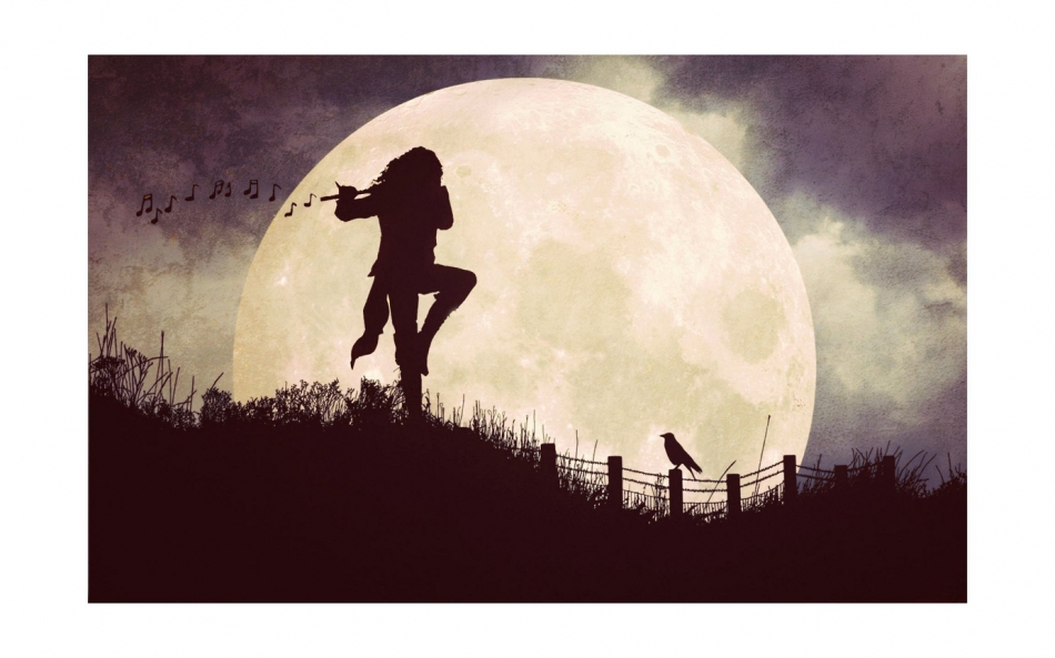 nowikowa - . . Zdjęcie 311252