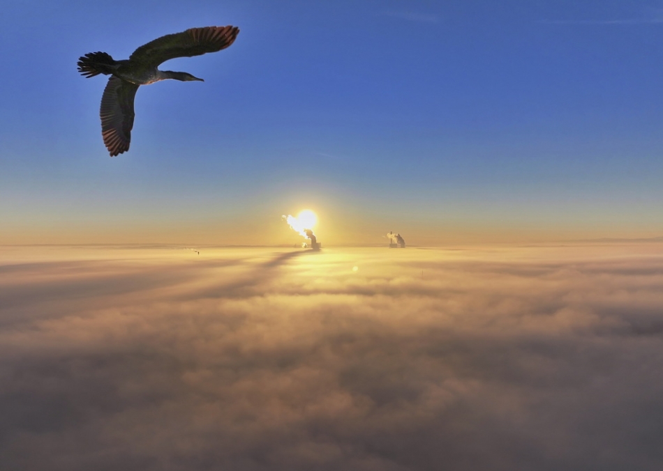 bliskie spotkanie na 120 metrach. . Zdjęcie 336751