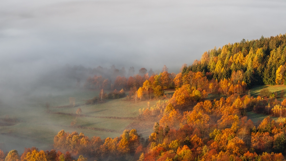 Autumn Deluxe.... . Zdjęcie 336727