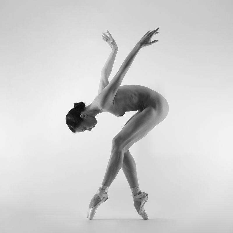 alosza - swan. ;). Zdjęcie 58047