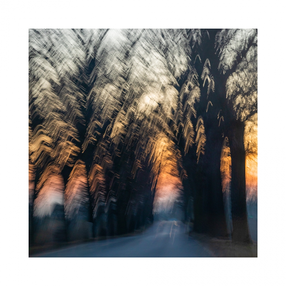 akrims - . . Zdjęcie 330809