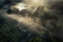 Morning over the jungle
