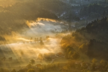 The Flash of Light