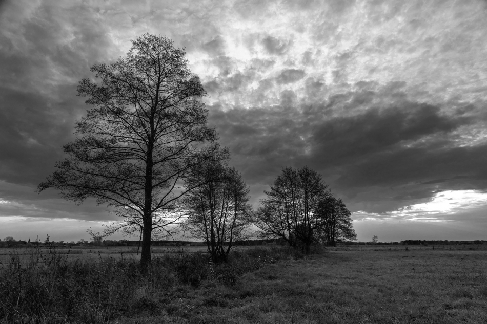 . . Zdjęcie 308107